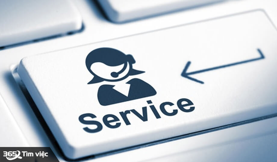 Dịch vụ Tính Lương 365 có gì?